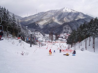 ❄️ 이부키노사토 스키장 이미지 2